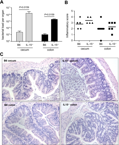 FIG. 2.