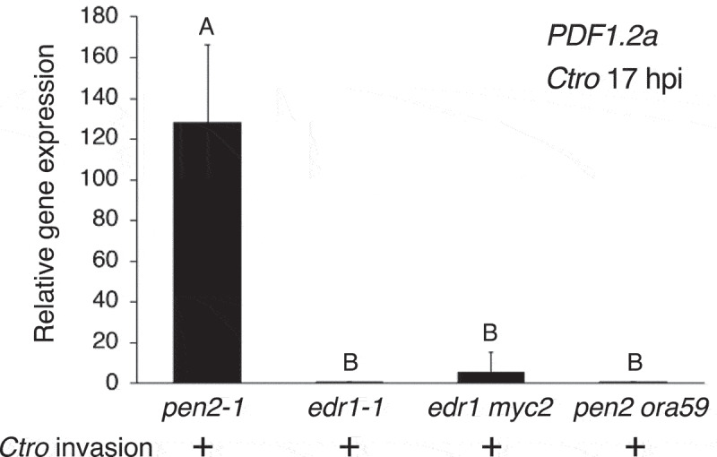 Figure 2.