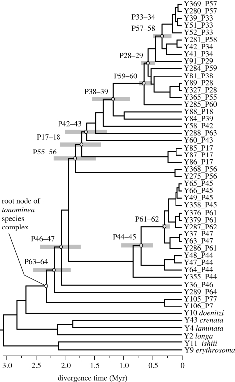 Figure 3.