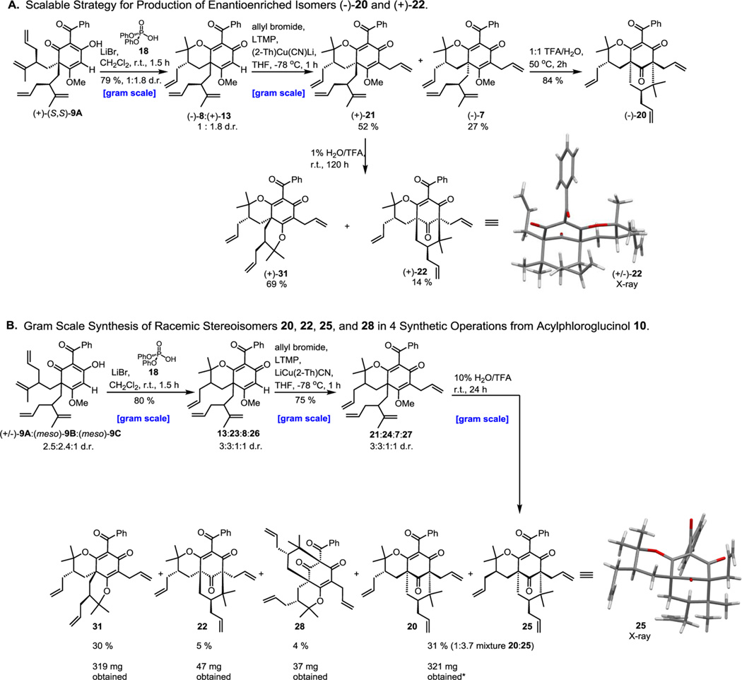 Scheme 3