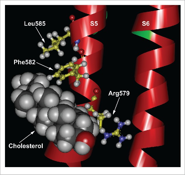 Figure 2.