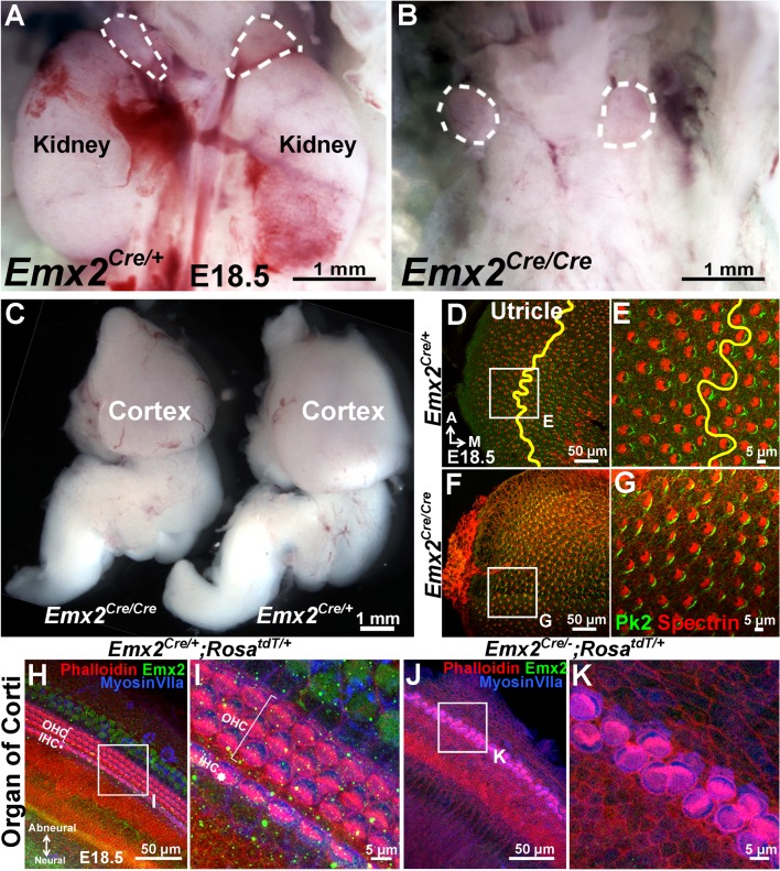 Figure 2—figure supplement 2.