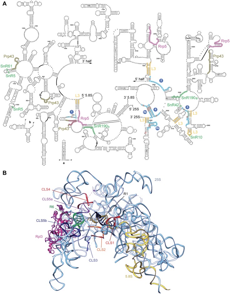 Fig 8