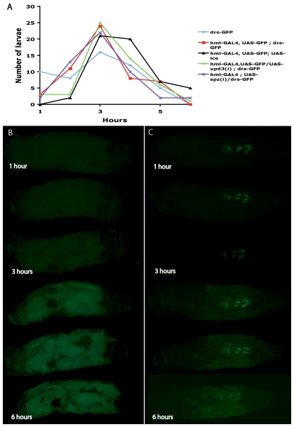 Fig. 5.