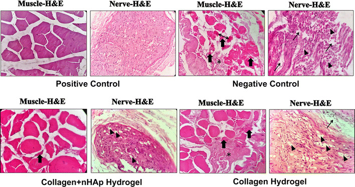 Fig. 7