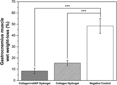 Fig. 6