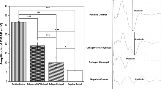 Fig. 5