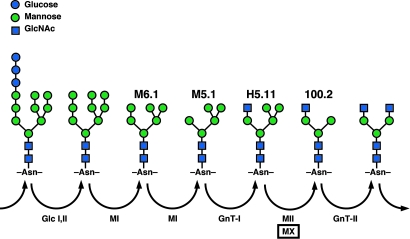 Fig. 6.