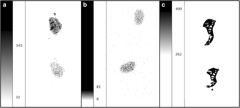 Fig. 8