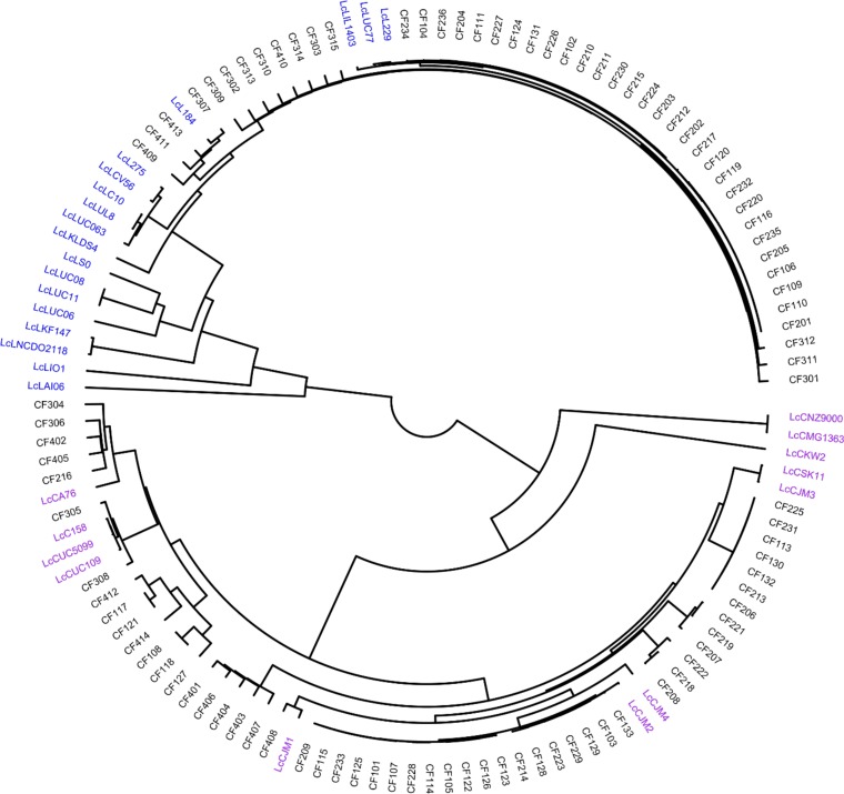 FIG 3