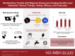 Graphical Abstract