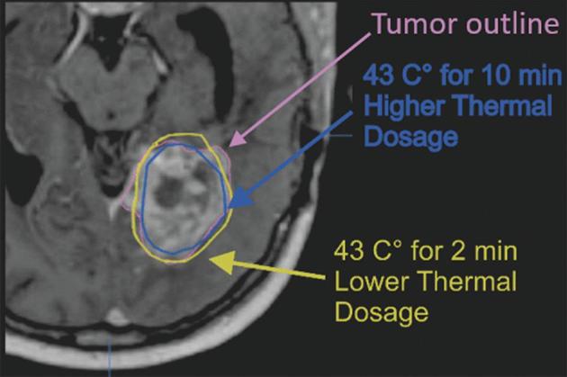 FIGURE 1.