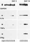 Fig. 9.
