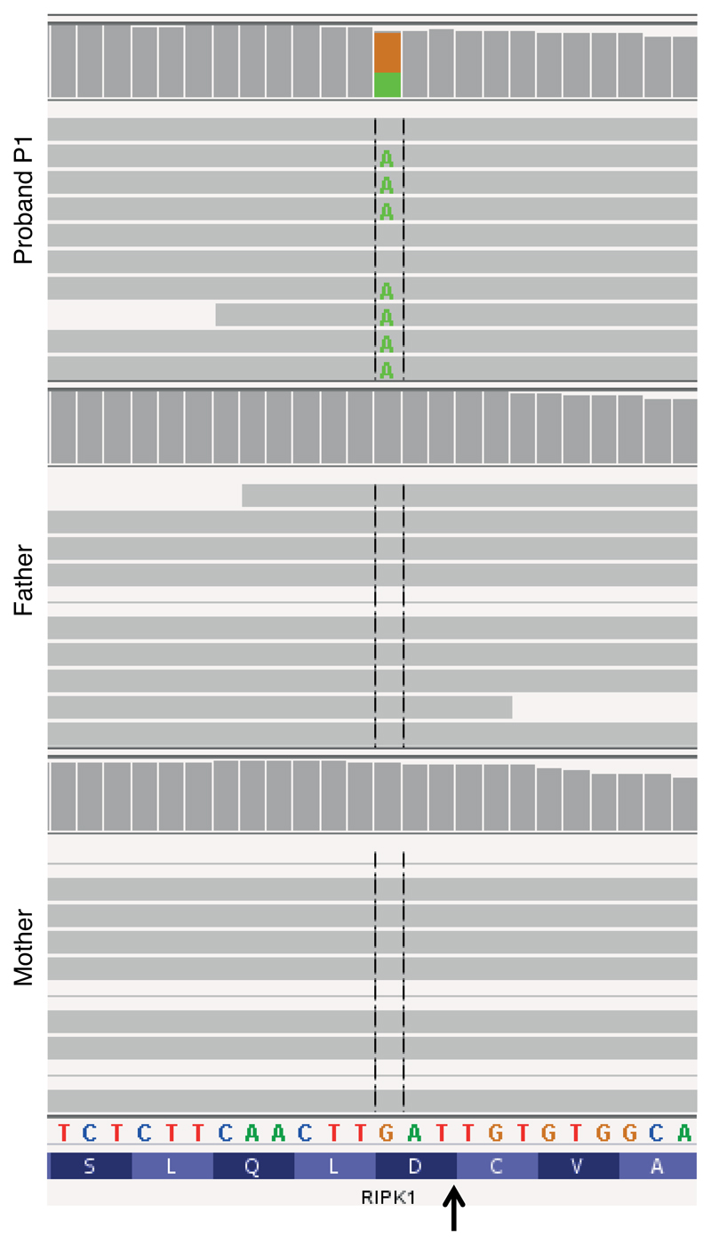 Extended Data Figure 2