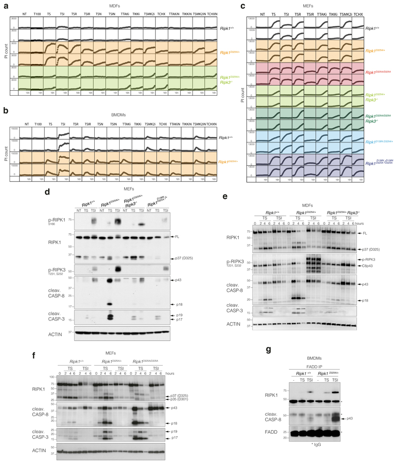 Extended Data Figure 4