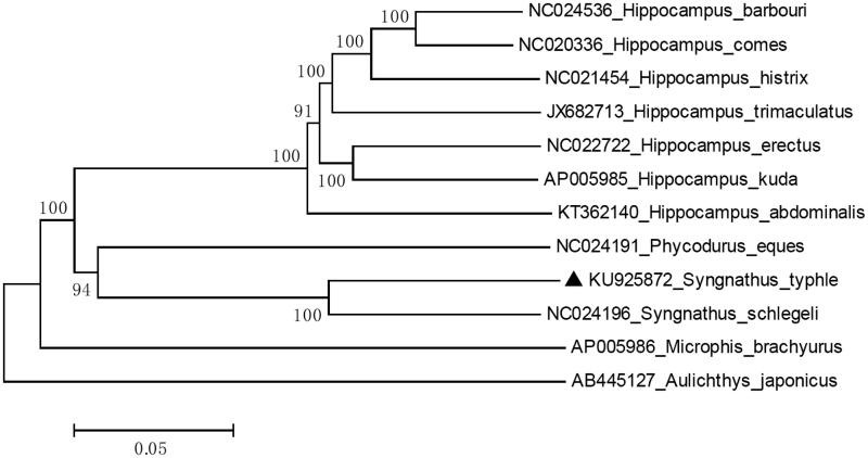 Figure 1.