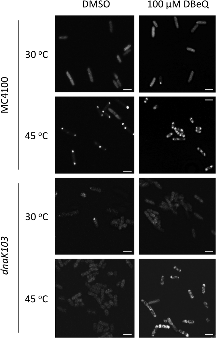 Figure 6