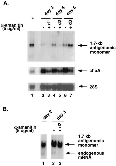 FIG. 5