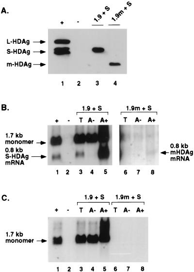 FIG. 10