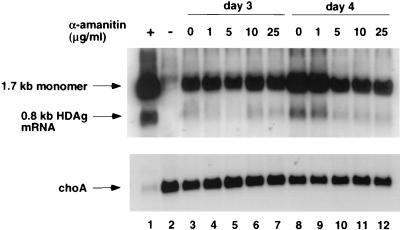 FIG. 8