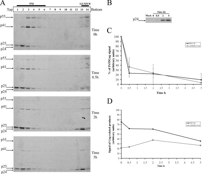 FIG. 4.