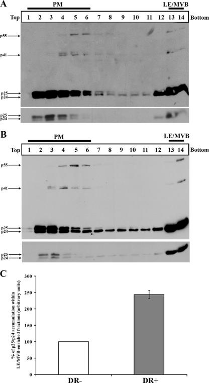 FIG. 2.