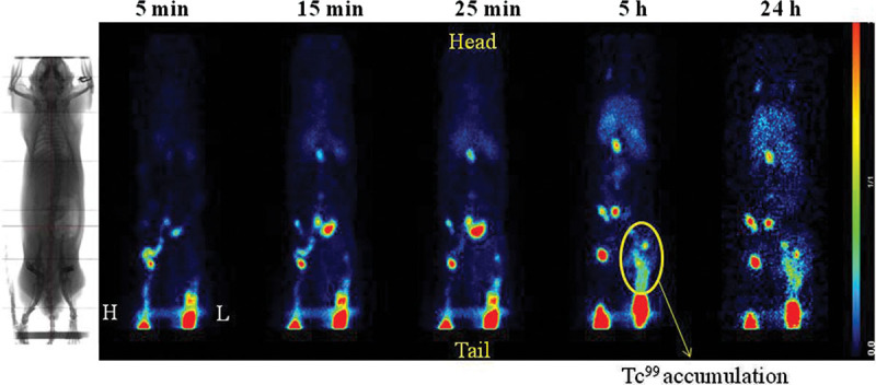 Fig. 4.