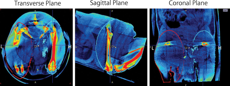 Fig. 3.