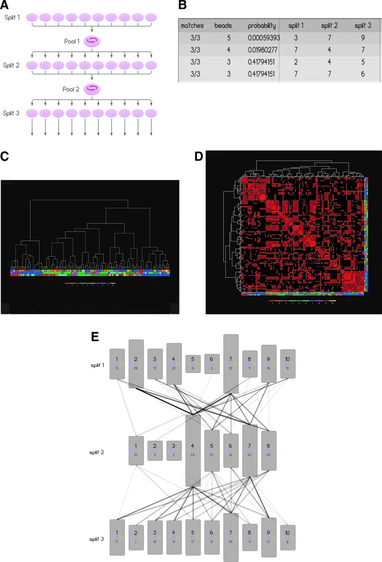 FIG. 2.