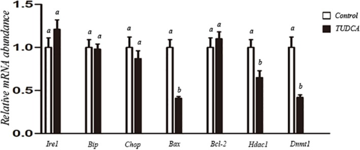 Fig 5