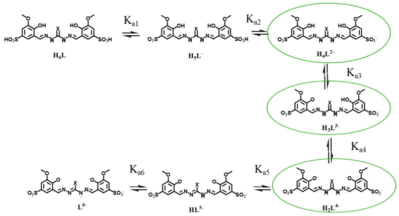 Scheme 2