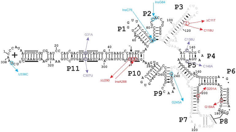 Figure 7