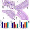 Fig 8