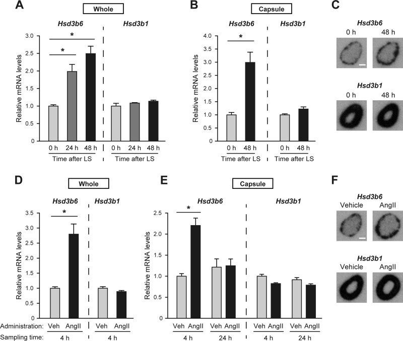 FIG 1