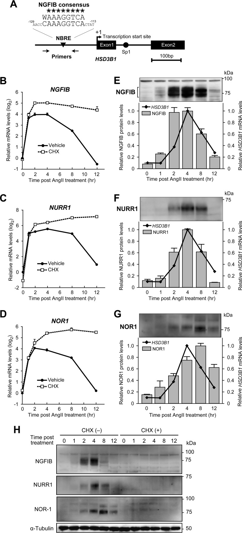 FIG 4