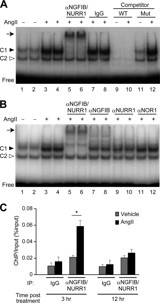 FIG 5