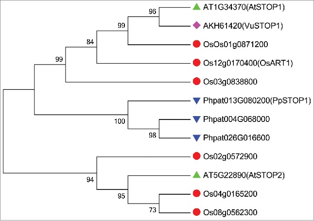 Figure 1.