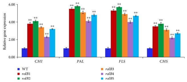 Figure 4