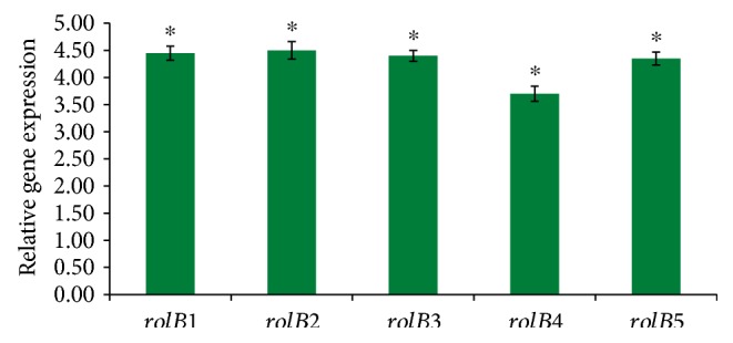 Figure 3