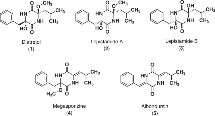 Fig. 1