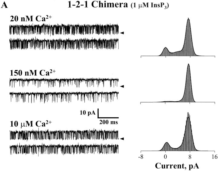 Figure 7. 