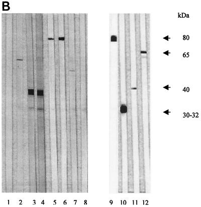 FIG. 6