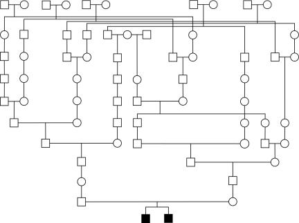 Figure  2