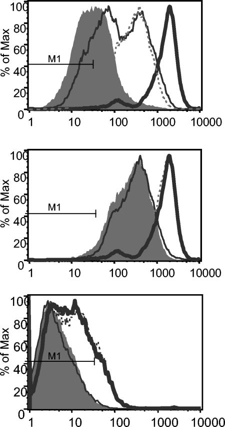 FIG. 7.