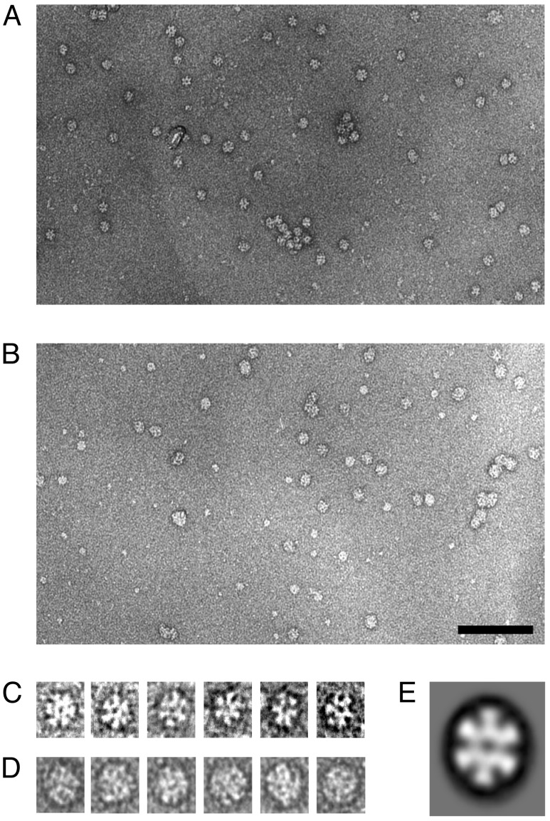 Fig. 2.