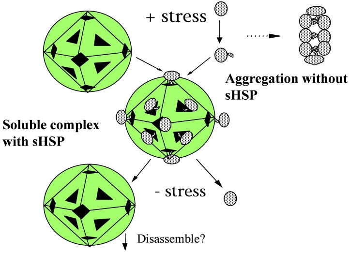 Fig. 8.