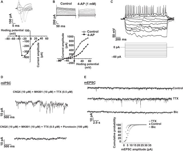 Fig. 4