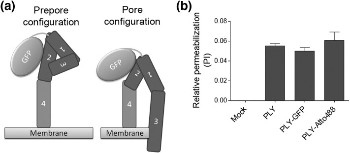 Supplementary Fig. S3