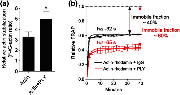 Fig. 4