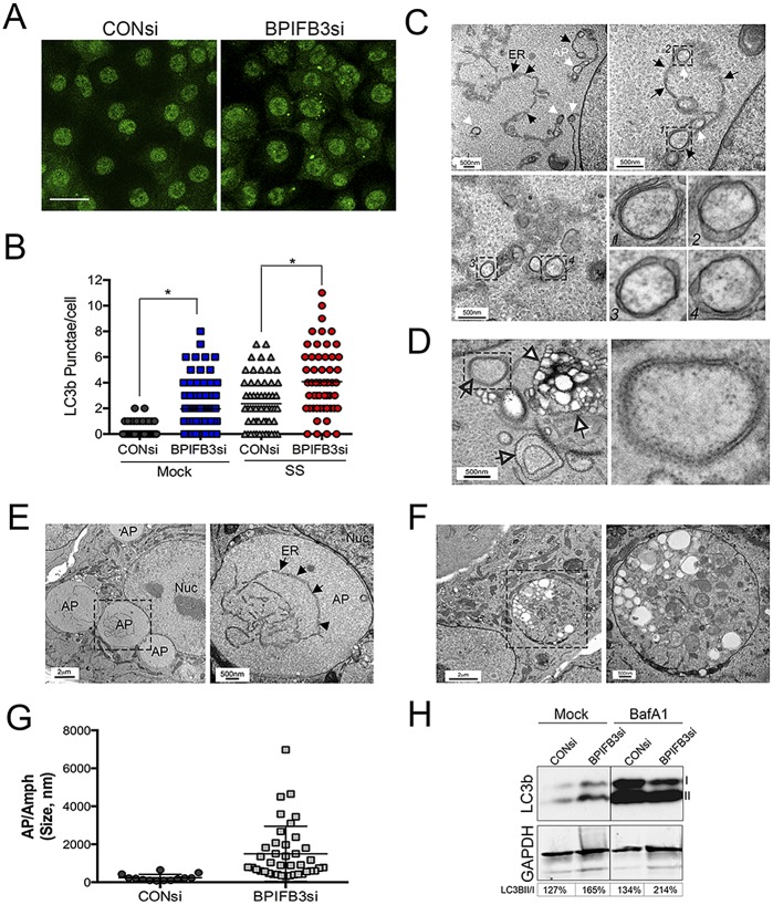 FIG 4 